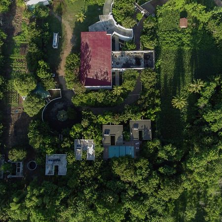 Hotel Golden Ray, Dambulla Dış mekan fotoğraf