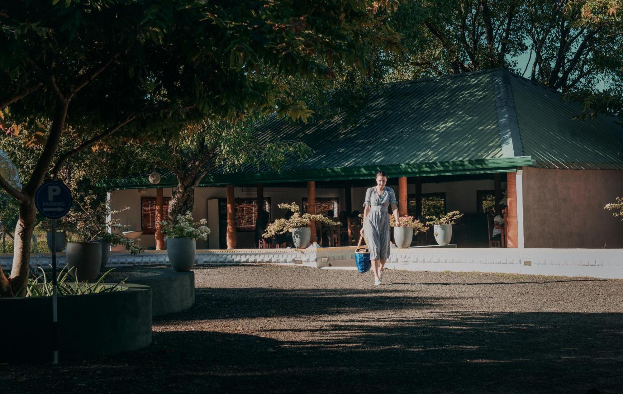 Hotel Golden Ray, Dambulla Dış mekan fotoğraf
